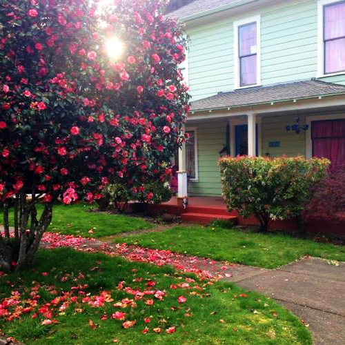 Home in Spring